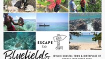 The Bluefields Experience: Organic Farm, Beach & Coral Reef