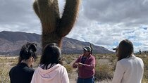 2-Day Calchaquí Valley Tour to Cachi and Cafayate