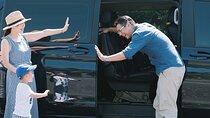 Private Car Charter in Yangmingshan Park(Pro Experienced Driver) 