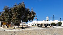 Mykonos island tour in small group up to 11 people.