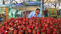 Private city tour Hurghada