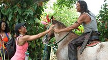 Guided Safari Tour in Punta Cana