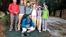 Private Full Day Hiking Experience to Marangu Route 