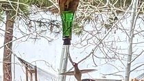 Hydro Dipped Hummingbird Feeder