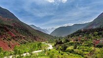 Full Day Guided Day Tour in High Atlas Mountains from Marrakech