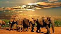 Cape Town Private Tour - Aquila Safari Adventure