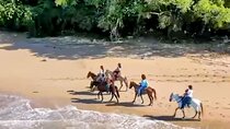 AMBER COVE-TAINO BAY Horses Beach Ride & City Sightseeing 