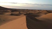 Private walking tour of Marrakech with guide 