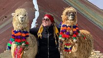 Full Day Tour to the Mountain of Colors - Small Group