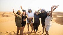 Dubai Half-day Red Dunes bashing with Sandboarding, Camel &Falcon