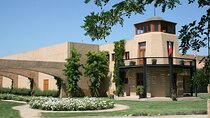 Private Valparaiso Visit William Cole Winery & Transfer to Hotel