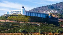 Private Tour in Valparaiso, visit Viña Indomita & Transfer 