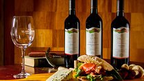 Private Valle Aconcagua Wineries Guided Tour from Santiago.