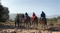 Live a unique experience on the Agafay Desert. 