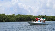 Jungle Tour & Snorkel - Discover Lagoon, Mangroves & Marine Life 