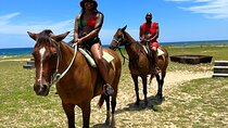Bamboo Rafting & Horseback Ride n Swim Guided Tour In Montego Bay
