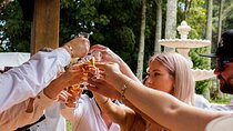 Full Day Guided Wine Tour in Mt Tamborine From Brisbane