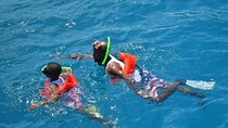 Boatride & Snorkeling then Margaritaville Hipstrip Activity 