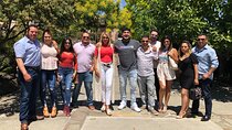 8 Hours 12 Passengers limo bus for Napa or Sonoma wine tour 