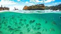 Adventure to Moreton Island Day Pass Experience