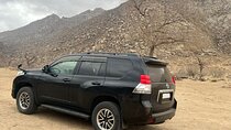 Full Day Private Jeep Tour to Elsen Tasarkhai, Semi-Gobi
