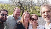 Winery Tour of Valpollicella with Lunch in a Very Nice Tavern