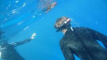 Hurghada Diving Excursion with 2 Stops For Beginners
