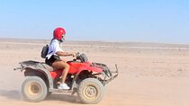 Safari Excursion with Snorkeling Experience in Marsa Alam