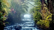 Transportation from Liberia Airport to Tabacon Thermal Resort Spa