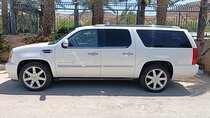 Jordan Tour: Private Driver - Luxurious car
