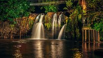Afternoon & Evening Tour of Paronella Park