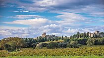 Half-Day Winery and Wine Tasting Guided Walking Tour