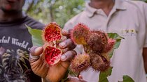 Zanzibar Spice Private Tour