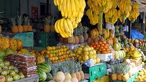 Small Group: Half Day Punta Cana Cultural Tour
