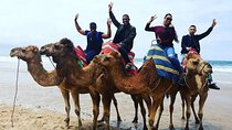 Vip Full Day Private Tangier Tour From Malaga