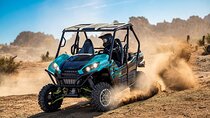 Self-Guided Fear and Loathing UTV Rental