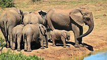 15 Day South Africa Adventure Cape Town to Johannesburg