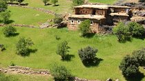 Majestic Atlas Mountains Day Trip with Camel Ride, Lunch, Dinner