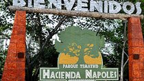 Tour Napole