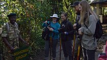 3 days Gorilla tracking Bwindi and Lake Bunyonyi Relaxation