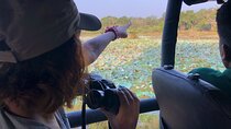 All inclusive Guided Safari in Wilpattu, from Colombo & Negombo. 