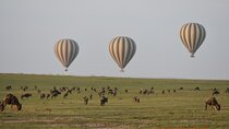 9-Days Safari Choroa Private Tour in Kenya
