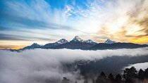 Pokhara: Poon Hill Ghorepani Short Trek