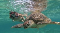 Marsa Mubarak Sea Snorkeling Boat Trip From Marsa Alam
