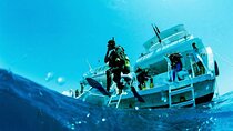 Advanced Diving Experience in the Stunning Red Sea–Sharm ElSheikh
