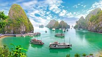 Halong Bay Standard Cruise 1 Day Tour from Tuan Chau Harbor/Hanoi