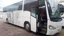 Private Bus from Trieste Cruise Port to Venice Airport (VCE)