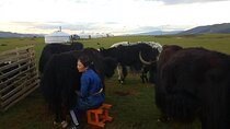 8 Days Gobi And Waterfall Tour