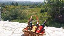 Zinfandel Wine Tour from Split