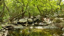 Riverbank Adventure in Naxos (Kinidaros - Eggares)